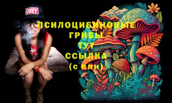 ECSTASY Нея