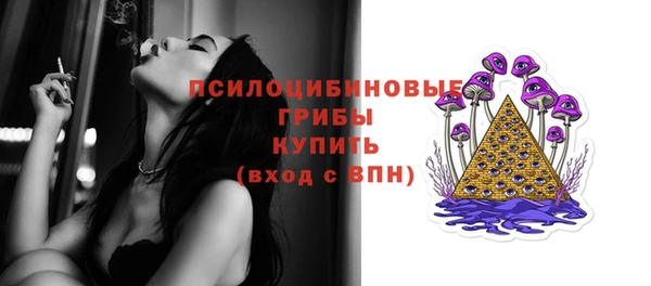 ECSTASY Нея