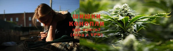 стафф Нефтекумск