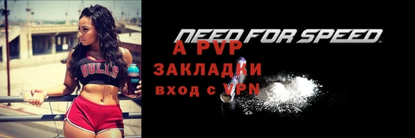 стафф Нефтекумск