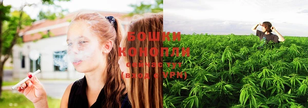 стафф Нефтекумск