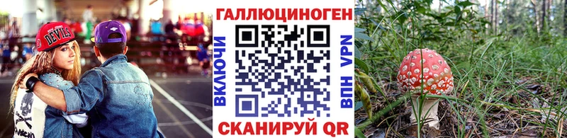мега зеркало  Нахабино  Галлюциногенные грибы MAGIC MUSHROOMS  купить наркотик 